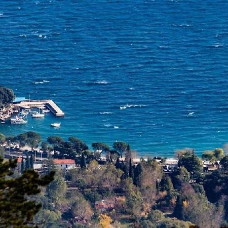 Apartment Zorka Medveja Dış mekan fotoğraf
