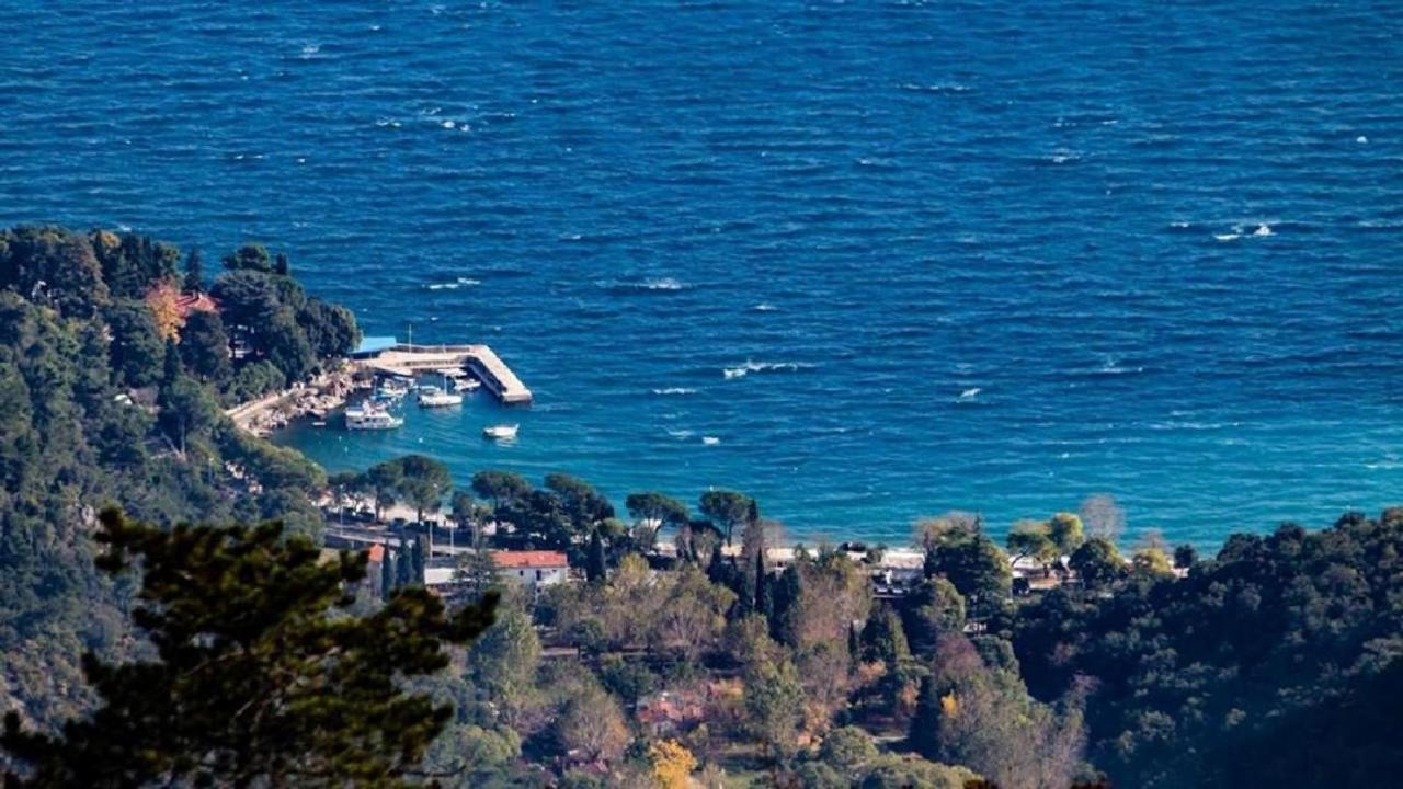 Apartment Zorka Medveja Dış mekan fotoğraf