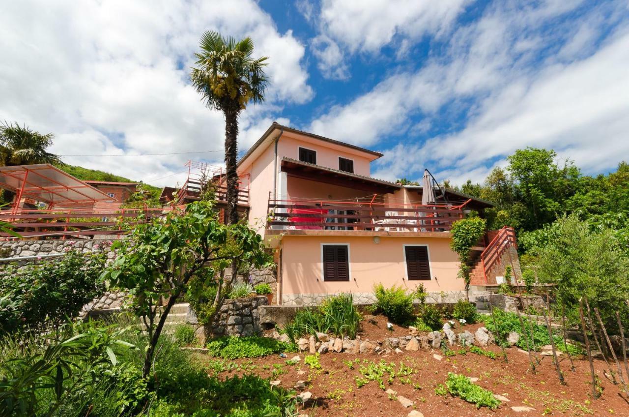 Apartment Zorka Medveja Dış mekan fotoğraf